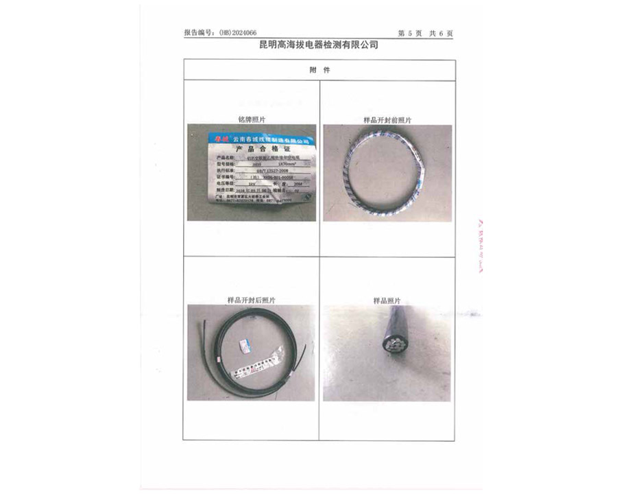 檢驗(yàn)報(bào)告