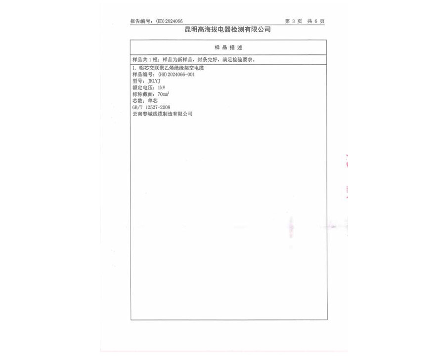 檢驗(yàn)報(bào)告