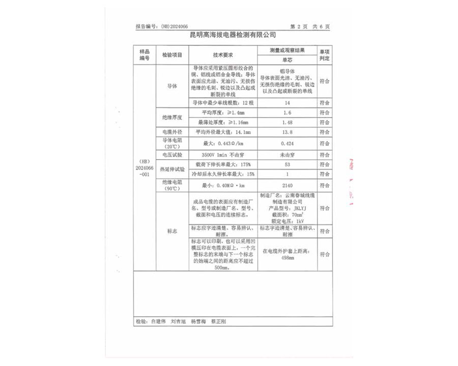 檢驗(yàn)報(bào)告