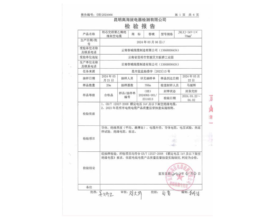 檢驗(yàn)報(bào)告