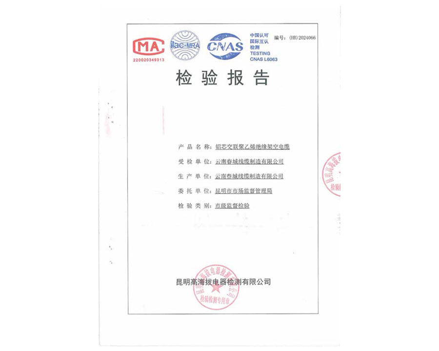 檢驗(yàn)報(bào)告