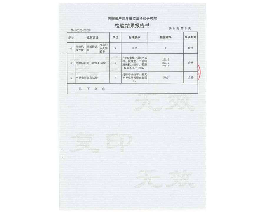 檢驗(yàn)結(jié)果報(bào)告書