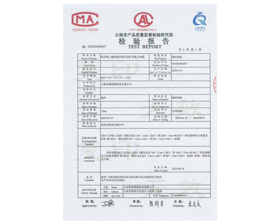 檢驗(yàn)報(bào)告