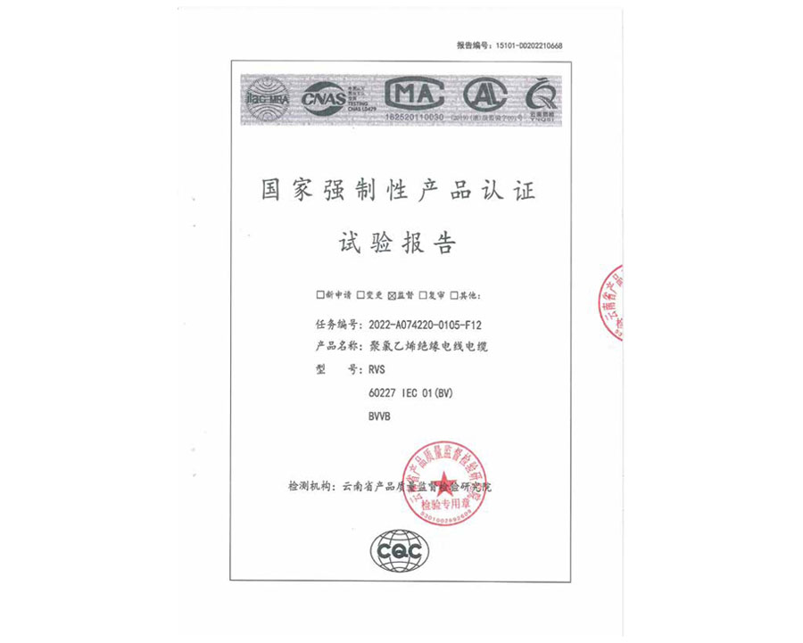 安全監(jiān)督抽樣試驗(yàn)報(bào)告