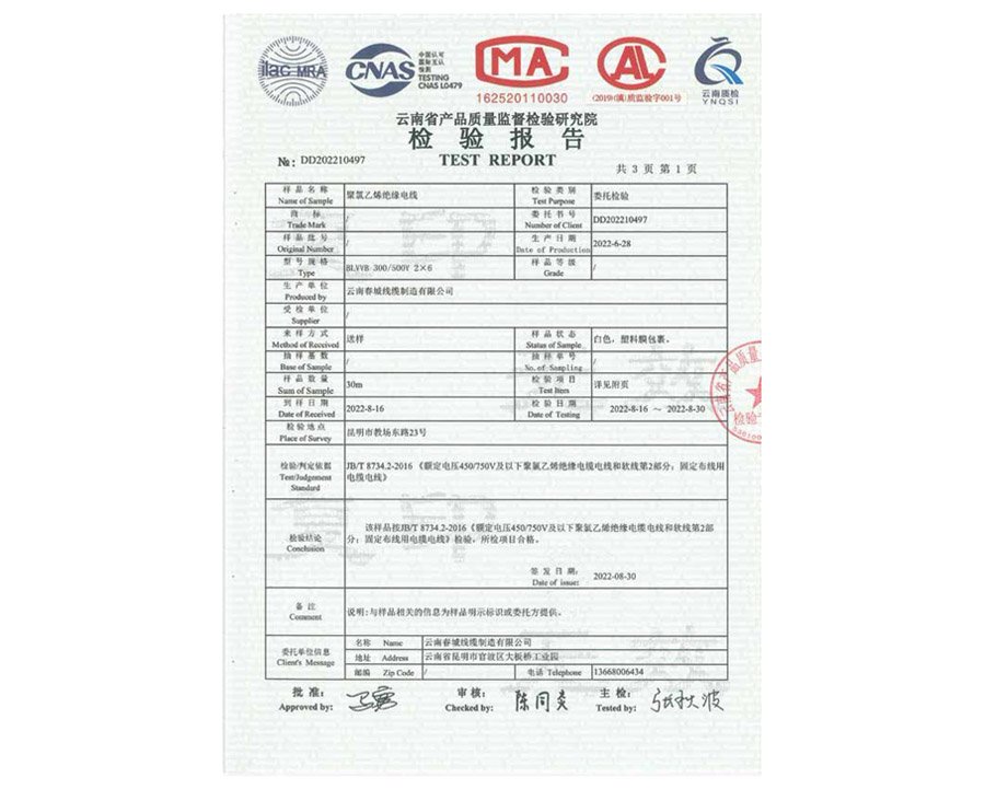檢驗(yàn)報(bào)告