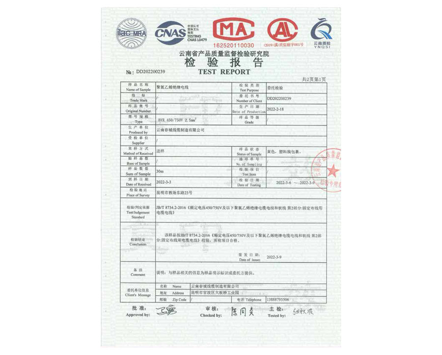 檢驗(yàn)報(bào)告