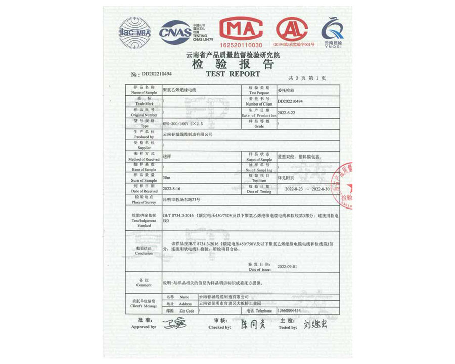 檢驗(yàn)報(bào)告