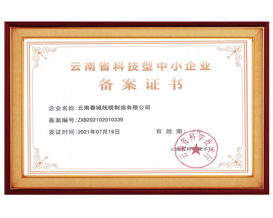 云南省科技型中小企業(yè)備案證書(shū)